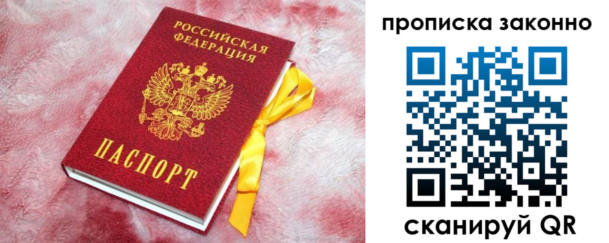 временная регистрация поиск в Петропавловске-Камчатском